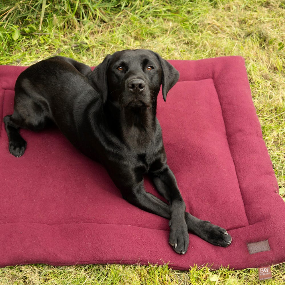 Benji &amp; Flo Luxury Fleece Dog Bed image 6